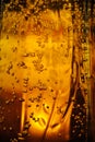 Beer in a glass with bubbles and a wheat spike. water drops. macro view. Pouring beer froth in glass for background. Close up Royalty Free Stock Photo