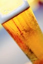 Beer glass Royalty Free Stock Photo