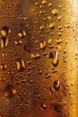 Beer Glass Condensation Texture Background, Cold Wine Bottle Mockup, Golden Bubbles Royalty Free Stock Photo