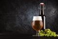 Beer glass on dark background Royalty Free Stock Photo