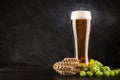 Beer glass on dark background Royalty Free Stock Photo