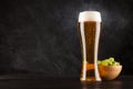 Beer glass on dark background Royalty Free Stock Photo