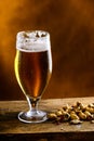 Beer glass with dark cold beer with bubble froth and peanuts on Royalty Free Stock Photo