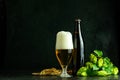 Beer glass, Hop Cones and Wheat on dark background Royalty Free Stock Photo