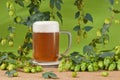 Beer glass with hops Royalty Free Stock Photo