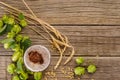 Beer in glass, hops plant green cones, barley and wheat ears on wooden table background, copy space Royalty Free Stock Photo