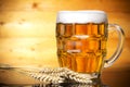 Beer glass isolated on wooden background Royalty Free Stock Photo