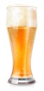 Beer glass mockup. Realistic cold alcohol drink