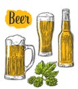 Beer glass, mug, bottle, hop. Vector vintage engraved illustration isolated on white background Royalty Free Stock Photo