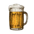 Beer in glass mug with foam. Hand drawn vector illustration