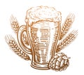 Beer glass with overflowing foam, hops and wheat. Pub, sketch vintage vector illustration