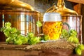 Beer glass and raw material for beer production Royalty Free Stock Photo