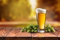 Beer glass served on wooden desk Royalty Free Stock Photo