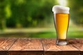 Beer in glass on wooden table against park Royalty Free Stock Photo