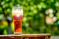 Beer in glass on wooden table with blurred city park on background, natural background. Closeup. Royalty Free Stock Photo