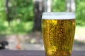 Beer in glass on wooden table. outdoor. Close up, copy space.