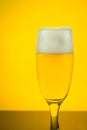 Beer in a glass on yellow backlight background