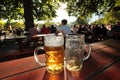 Beer glasses in a Bavarian Beer garden at Munich Royalty Free Stock Photo