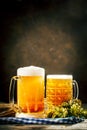 Beer in glasses on a dark background. Oktoberfest. Beer festival. Selective focus. Background with copy space. Royalty Free Stock Photo