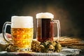 Beer in glasses on a dark background. Oktoberfest. Beer festival. Selective focus. Background with copy space. Royalty Free Stock Photo