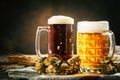 Beer in glasses on a dark background. Oktoberfest. Beer festival. Selective focus. Background with copy space. Royalty Free Stock Photo