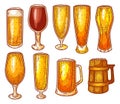 Beer glasses, pint, mug, craft beer brewery sketch