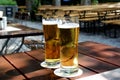 Beer glasses on the table in garden. Royalty Free Stock Photo