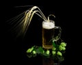 Beer glassware with beer, branch of hops, ears of barley