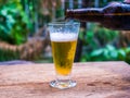 Beer glass on wood background Royalty Free Stock Photo