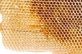 Beer honey in honeycombs.