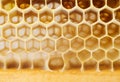 Beer honey in honeycombs.