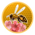 Beer honey jar lid design concept. Packaging design. Printing on plastic or metal can lids. A bee on a background of bee honeycomb