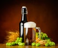 Beer and Hop Flower Royalty Free Stock Photo