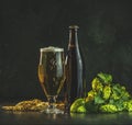 Still life with beer and hop plant in retro style. Glass of cold foamy beer brown bottle of beer and hop on a dark background Royalty Free Stock Photo