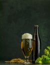 Still life with beer and hop plant in retro style. Glass of cold foamy beer brown bottle of beer and hop on a dark background Royalty Free Stock Photo