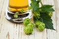 Beer and hops leaves on old white wooden texture background Royalty Free Stock Photo