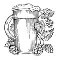 Beer and hops plant engraving vector