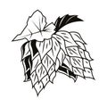 Beer hops seeds organic icon