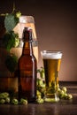 Beer and hops Royalty Free Stock Photo