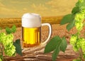 Beer with hops Royalty Free Stock Photo