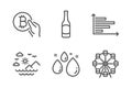 Beer, Horizontal chart and Bitcoin pay icons set. Sea mountains, Water drop and Ferris wheel signs. Vector