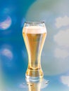 Beer illustration, blonde ale draft in a glass Royalty Free Stock Photo