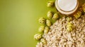 Beer ingredients, hops, barley, glass, green background, brewing Royalty Free Stock Photo