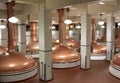 Beer kettles in brewery Royalty Free Stock Photo