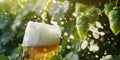 beer or kombucha pour in glass splashing foaming golden drinks, hops and green