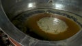 Beer krausen in fermenting beer.