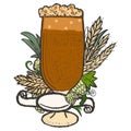 Beer label in a glass with hops, wheat spikelets and blank ribbon color. Royalty Free Stock Photo