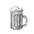 beer lager cup sketch hand drawn vector Royalty Free Stock Photo