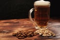 Beer light in a mug and snack Royalty Free Stock Photo