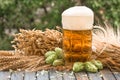 Beer malt hops, background